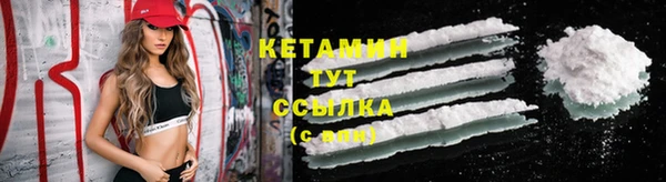 индика Верхний Тагил