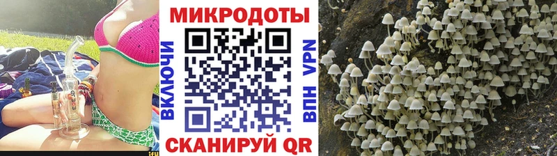 Псилоцибиновые грибы ЛСД  Новокубанск 